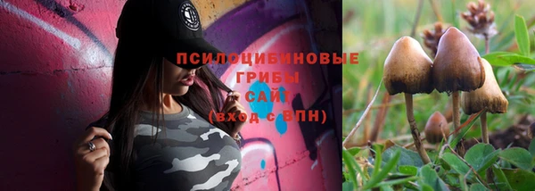spice Надым