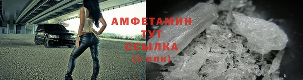 прущие грибы Михайловск
