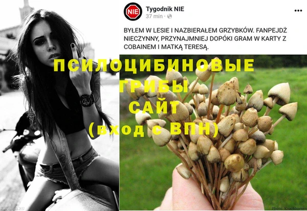 spice Надым